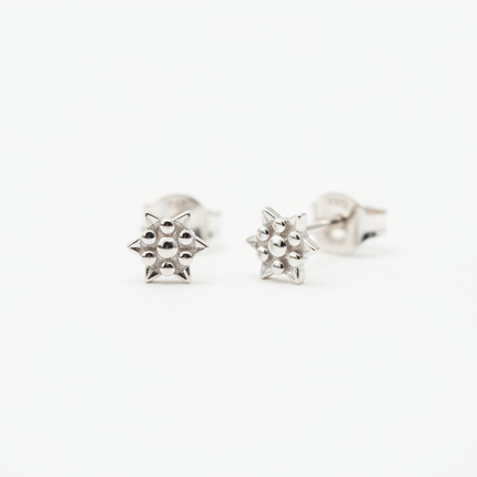 Collection image for: Silver Tiny Earrings