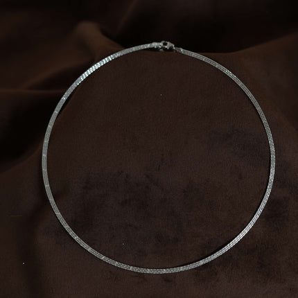 Celestia Charm  silver chain