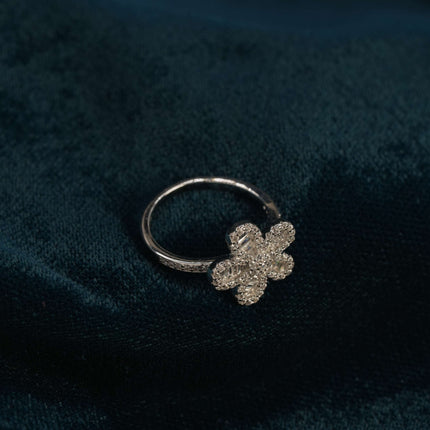 Everlasting Elegance 925 Silver Ring
