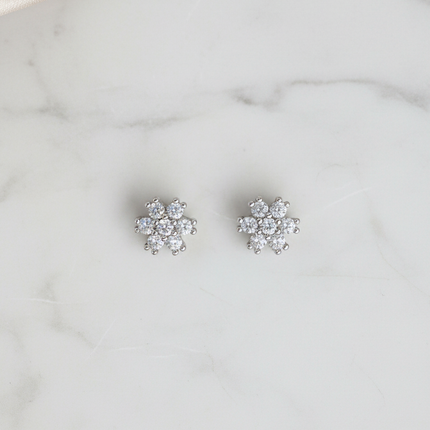 Radiant Dew Silver Tops