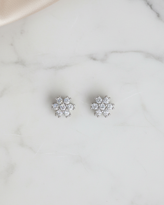 Radiant Dew Silver Tops