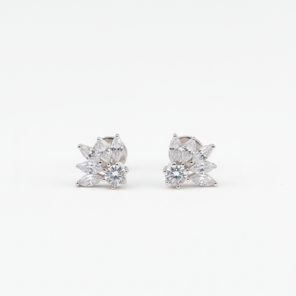 Elegant Curve Silver Tops