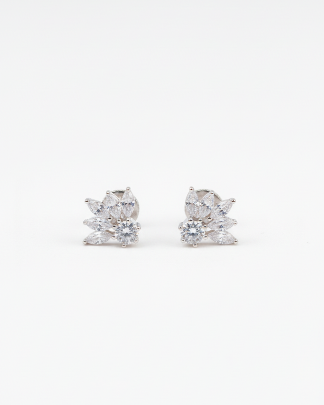 Elegant Curve Silver Tops