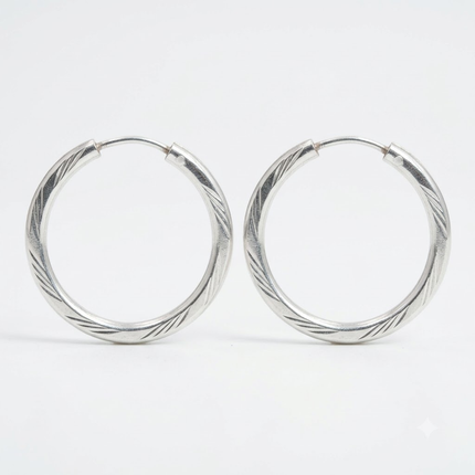 Velvet Curve SILVER EARRINGS